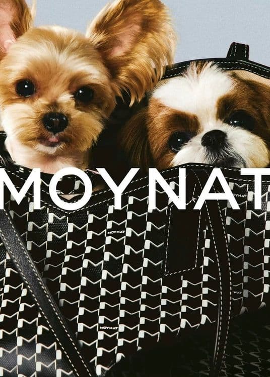 Moynat - Parisian Trunk