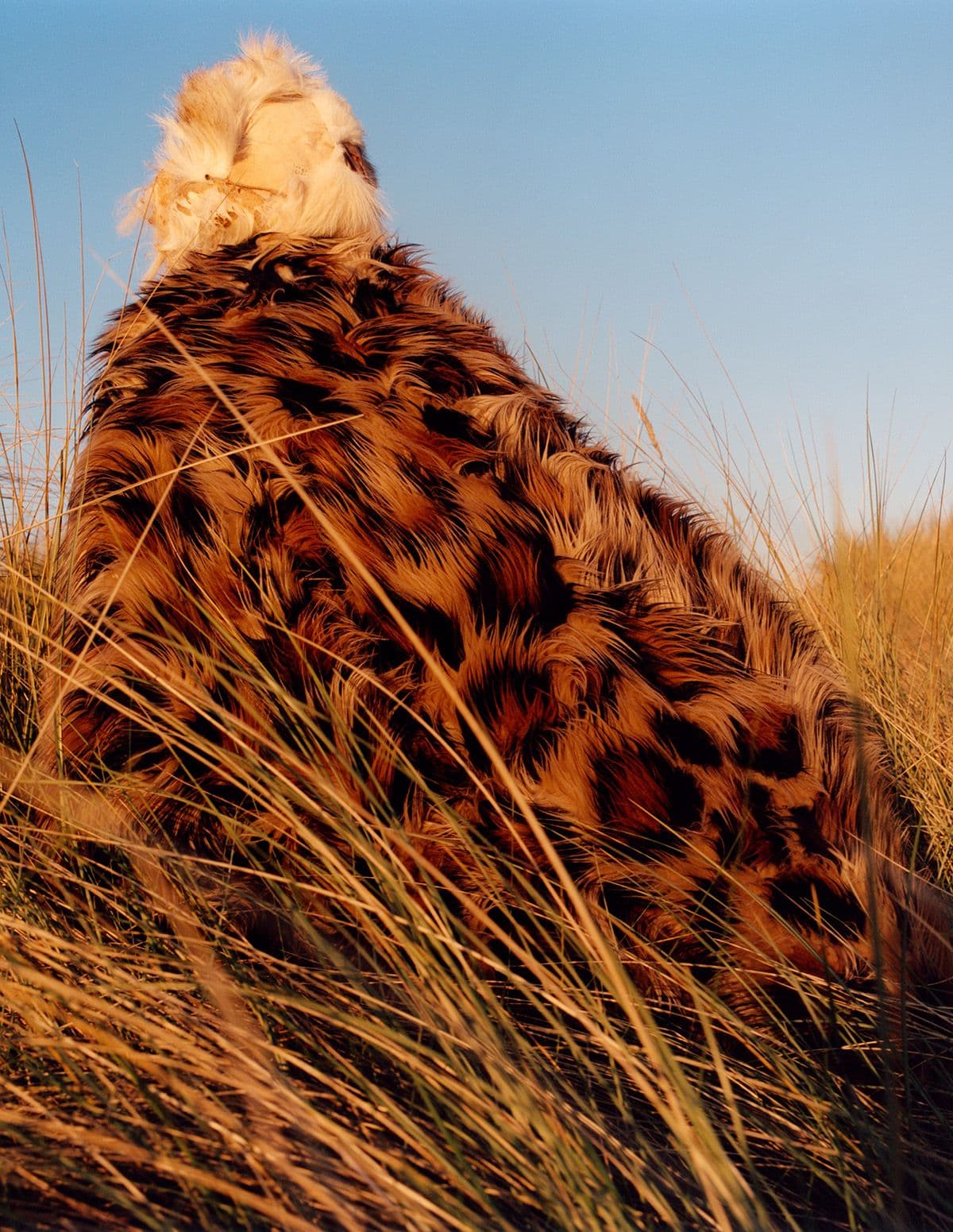 W Magazine - Jamie Hawkesworth
