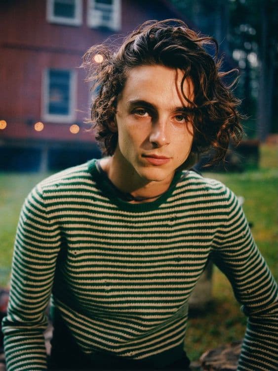 Timothée Chalamet - Renell Medrano